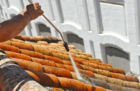 Nettoyage de toitures - Vienne-en-Val